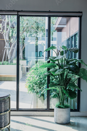 Modern living room with tree