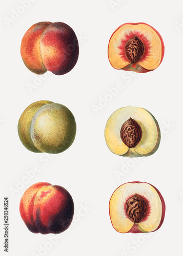 Peaches in a row
