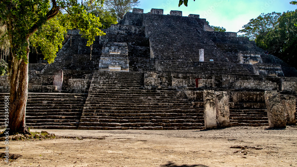 Fototapeta premium Lost in the jungle park Calakmul in Mexico. Pyramids in the jungle