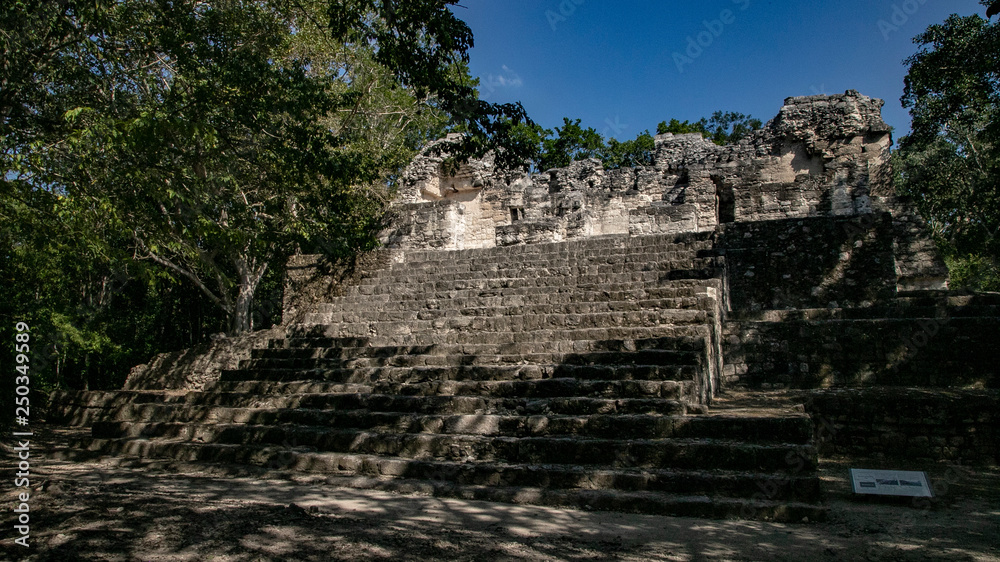 Lost in the jungle park Calakmul in Mexico. Pyramids in the jungle