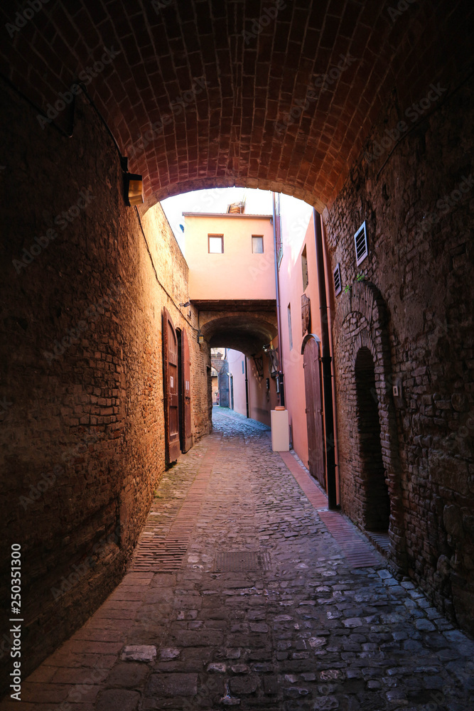 Fototapeta premium narrow alley with arch made from red brick in old town certaldo, Tuscany, Italy