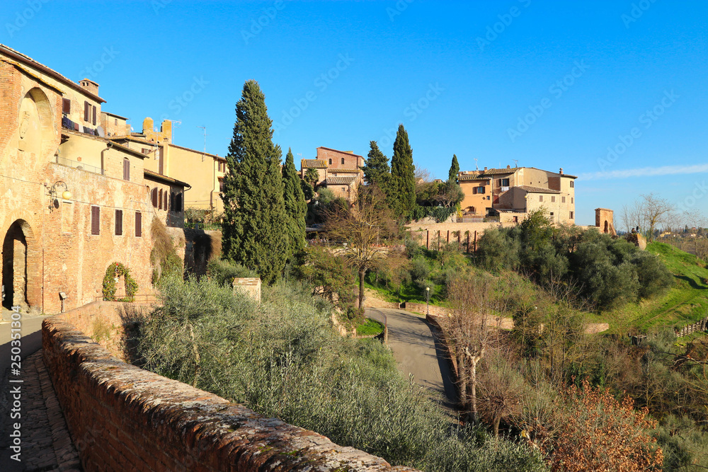 Panoramic view to cosy tuscany town Certaldo with cypress and bright blue sky, Italy