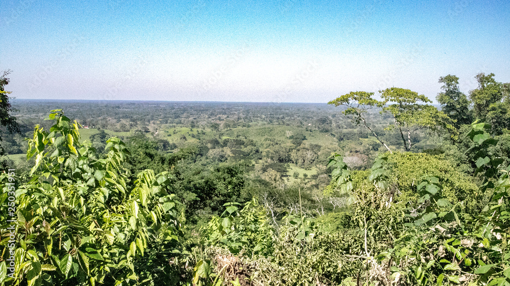  Boundary Selva of the state of Chiapas