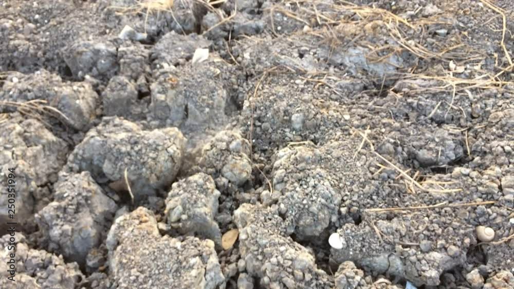 Dry ground Waterless. Lack of water. Dry ground Waterless. Lack of water.