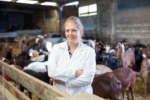 Female veterinarian on goat farm