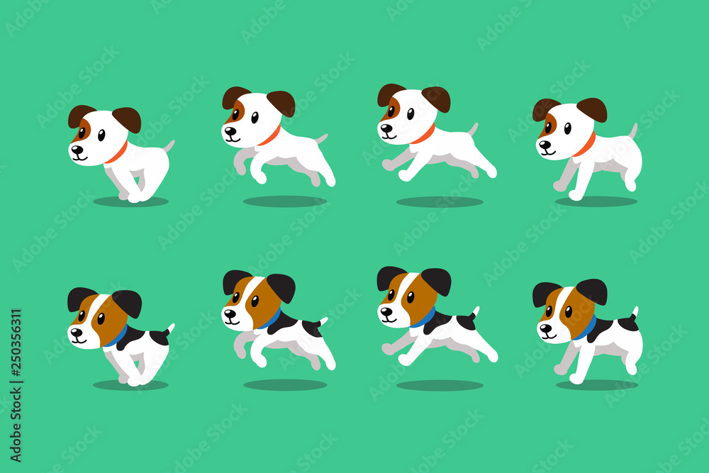 Vector cartoon character jack russell terrier dogs running step for