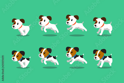 Vector cartoon character jack russell terrier dogs running step for design.