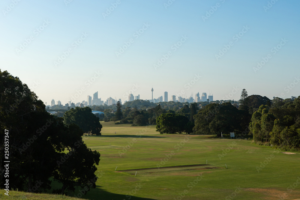 Naklejka premium Empty green park with Sydney skyline on the distance.
