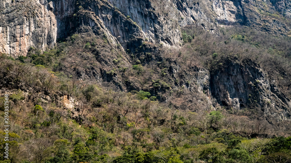 Naklejka premium Magic mountains, sheer cliffs, monkeys, crocodiles - Canyon del Sumidero