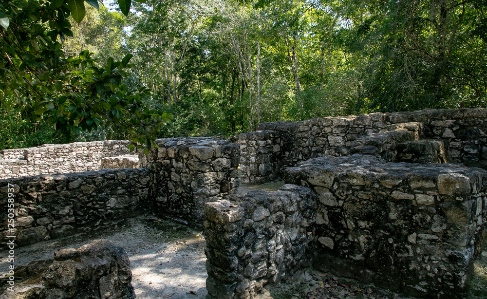 The ancient city of Calakmul. Interesting pyramids deep in the jungle