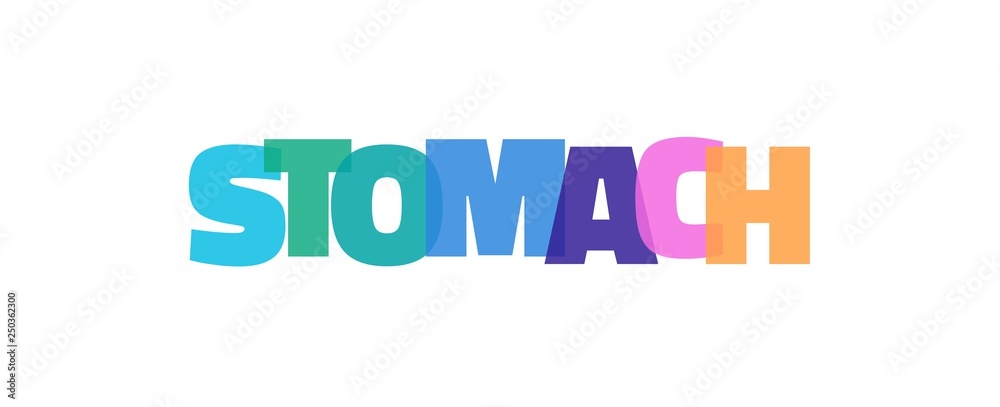 Stomach word concept Stomach word concept