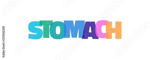 Stomach word concept