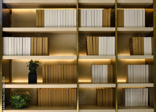 Background of Simulator Book Shelf with Vase and Flower jar in home.