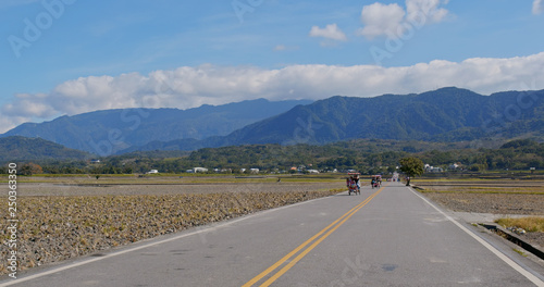 People ride a bike in the Chishang rice meadow field