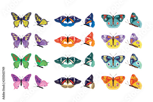 Set of colorful butterflies silhouettes collection spring and summer with different shapes of wings. Isolated on white background, for illustration, ornaments, tattoo. Vector illustration.