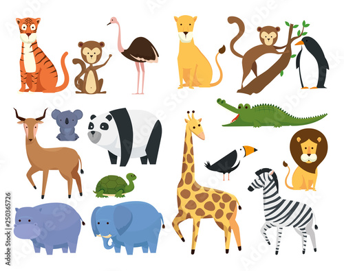 set wild animals in the zoo safari reserve