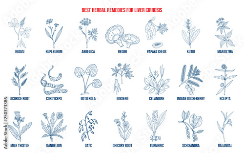 Best herbal remedies for liver cirrosis