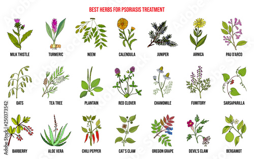 Best natural herbs for psoriasis treatment photo