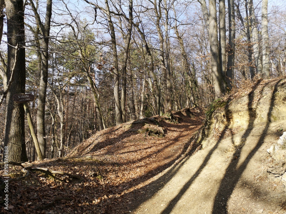 Bärenschützklamm Prügelweg im Winter Bärenschützklamm Prügelweg im Winter