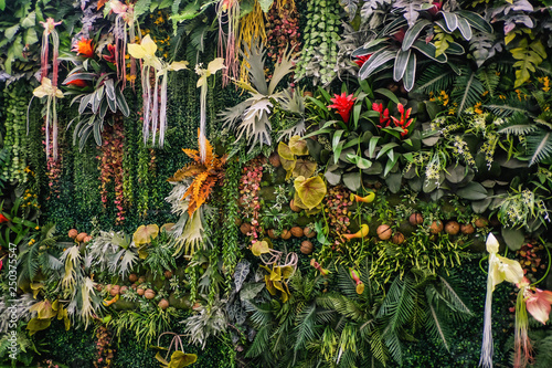chiangmai/Thailand - 17 July 2016:Inside of Natural science museum in Queen Sirikit botanic garden at chiang mai city Thailand