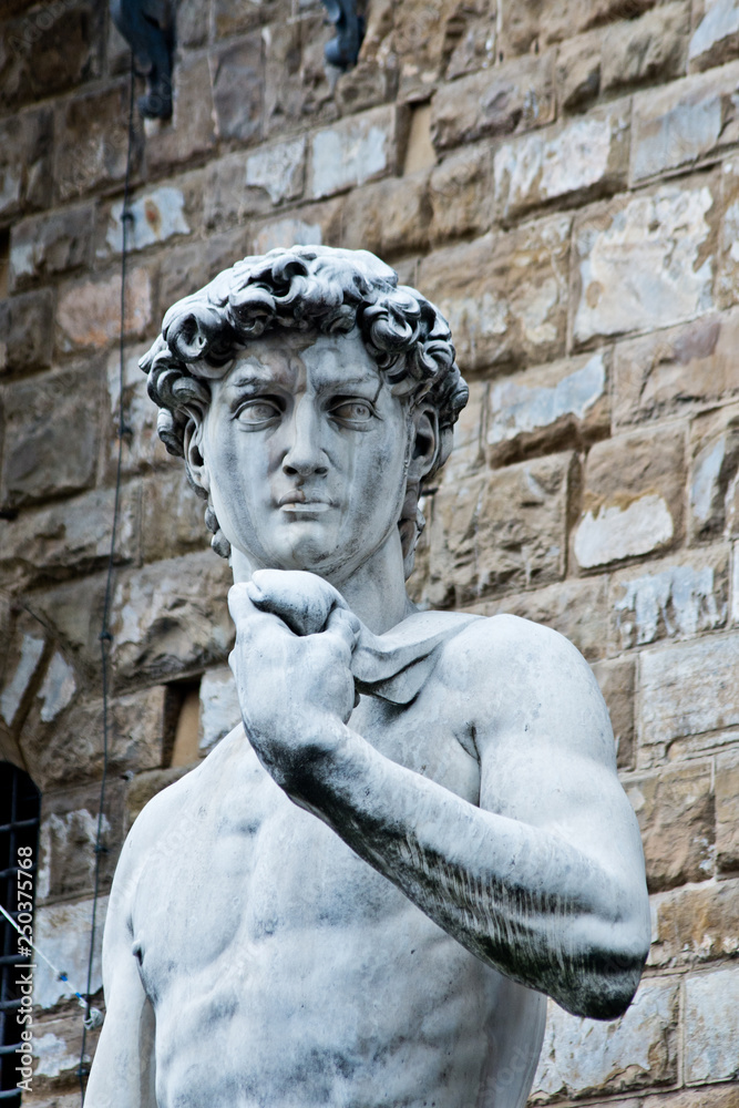 Fototapeta premium posąg Dawida Michała Anioła we Florencji przed Palazzo Vecchio