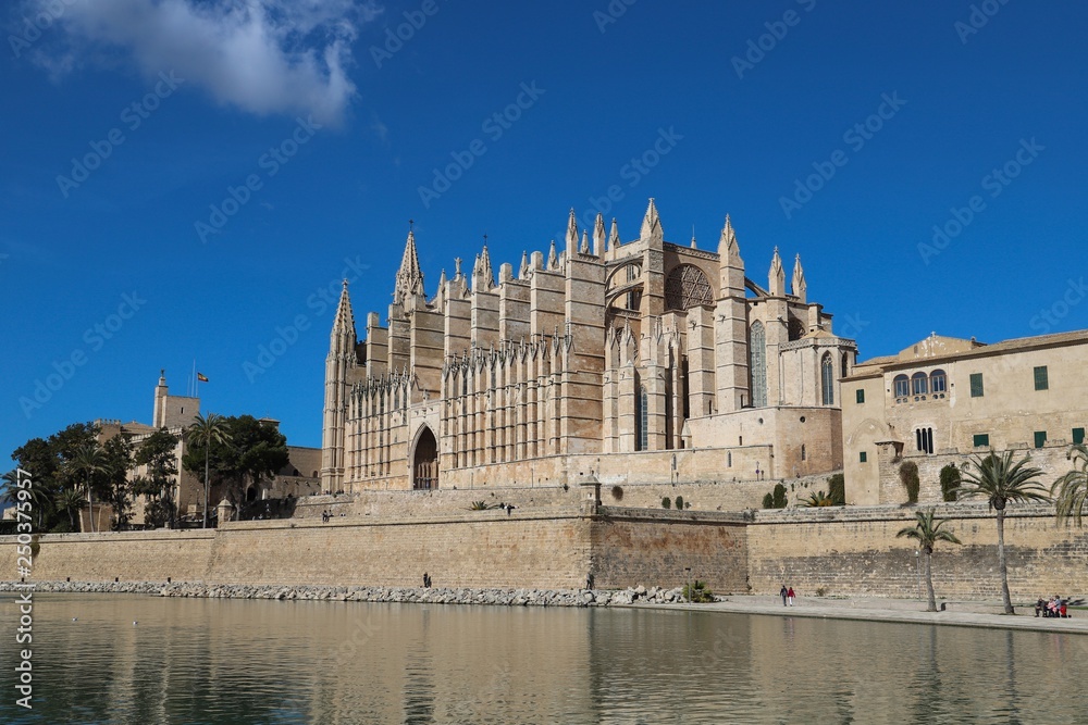 La Seu Cathedral Palma de Mallorca in Spain on a sunny day with blue sky 