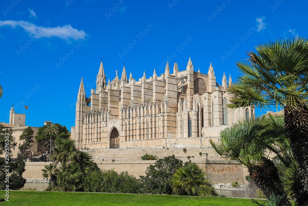 Fototapeta premium La Seu Cathedral Palma de Mallorca in Spain on a sunny day with blue sky 