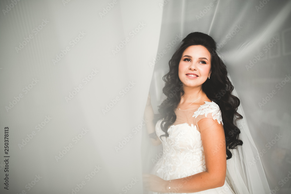 Beautiful luxury bride in elegant white dress Beautiful luxury bride in elegant white dress