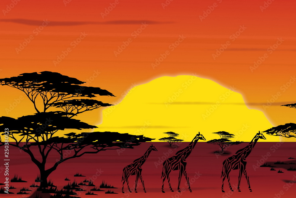 Afrika Stimmung Sonnenuntergang Afrika Stimmung Sonnenuntergang