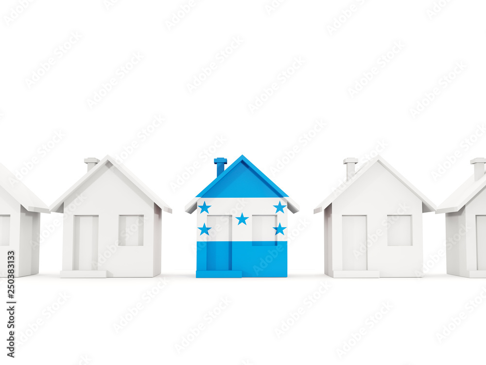 House with flag of honduras House with flag of honduras