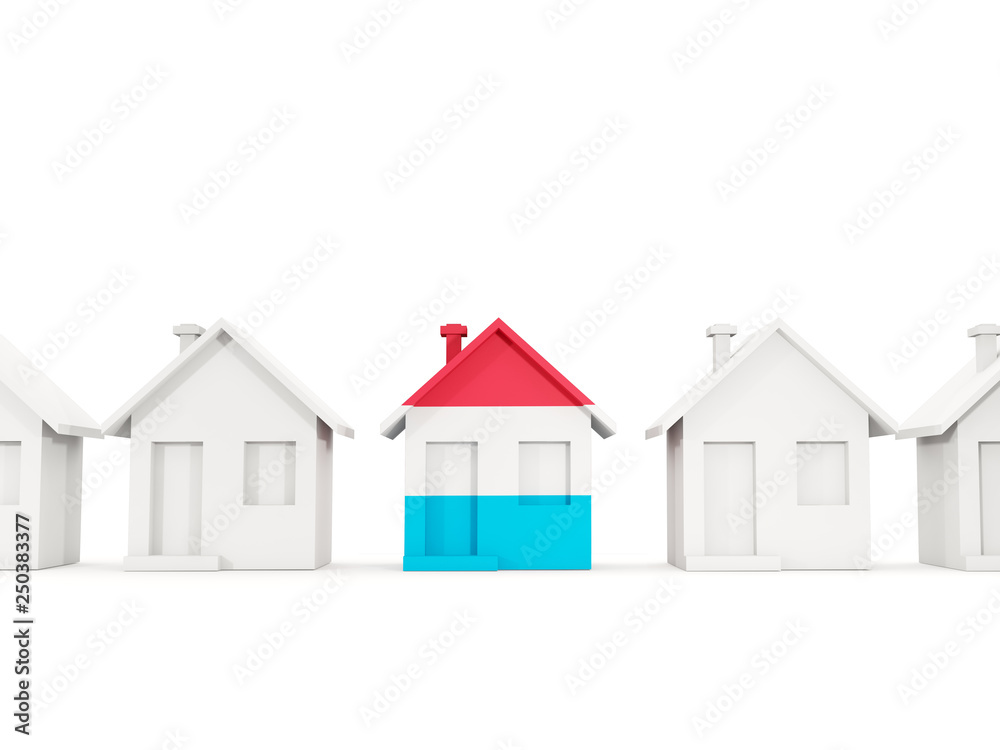 House with flag of luxembourg House with flag of luxembourg