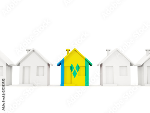 House with flag of saint vincent and the grenadines