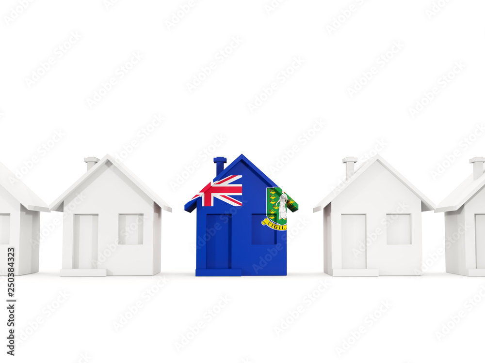 House with flag of virgin islands british House with flag of virgin islands british
