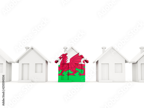 House with flag of wales