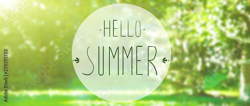 phrase Hello summer on the background of green foliage and sunlight