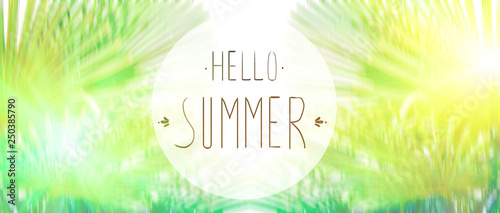 phrase Hello summer on the background of green foliage and sunlight