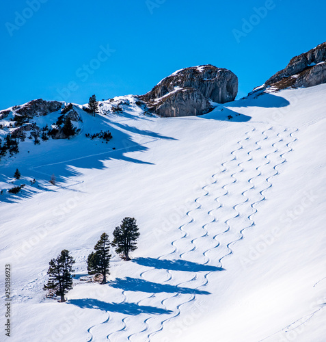 landscape near pertisau - austria photo