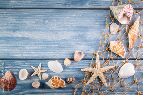Image with seashells.
