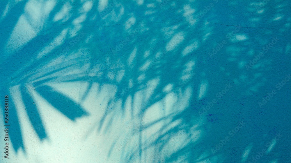 palm leaves shadow on blue cement wall - obrazy, fototapety, plakaty 