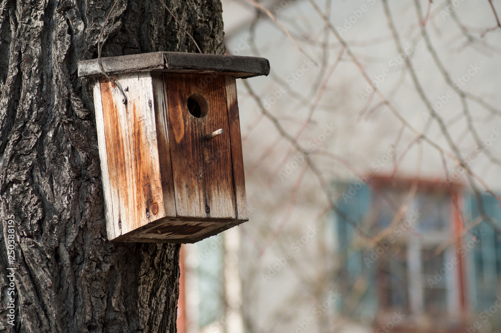 closeup of bird house in tree in urban park