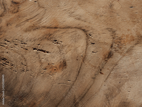 The texture of the solid wood. Background