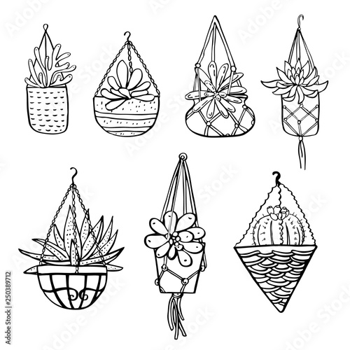 Cactus and succulent plants in hanging flowerpots. Vector hand drawn outline black and white sketch illustration