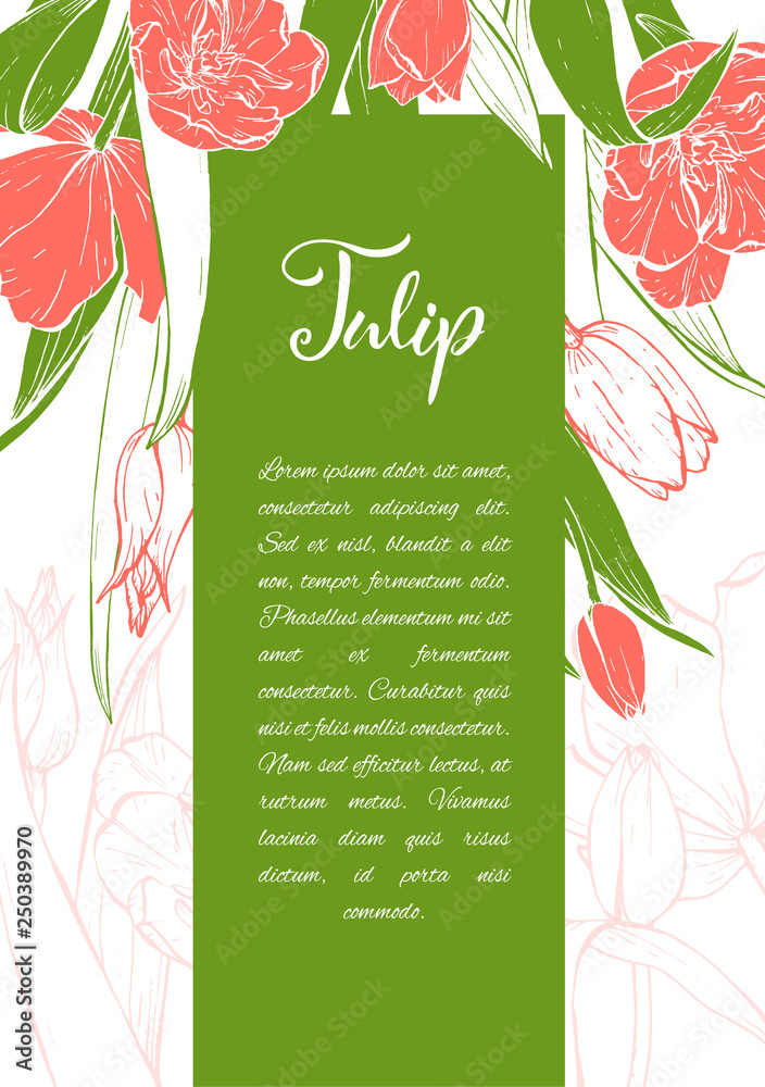 Naklejka premium Floral background. Hand drawn vector botanical illustration. Template greeting card, wedding invitation banner with spring flowers. Sketch linear tulips blossom.Engraved style illustration.