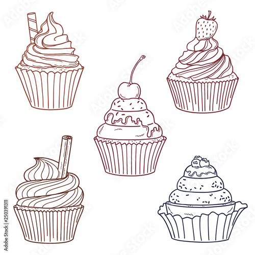 Hand drawn cupcakes with berries, cookie, cinnamon and sprinkles