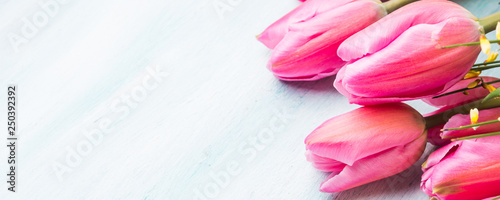 Fototapeta Naklejka Na Ścianę i Meble -  Beautiful tulips on pastel green background