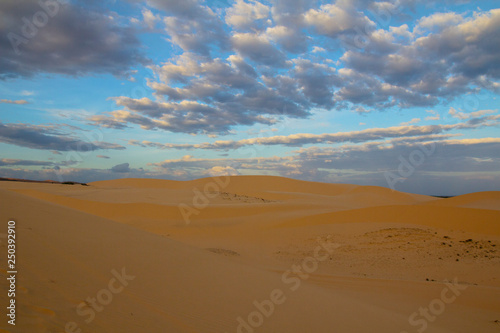 Desert Sand Dunes Against the Evening Sky
