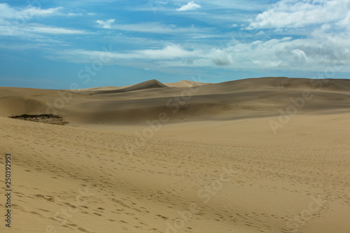 Giant Sand Dunes landscape. Many footsteps and shadows on yellow sand. Blue sky with white clouds