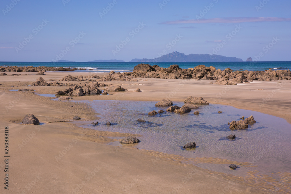 Mangawhai Heads Beach in the afternoon light. Rocks on a yellow sand beach, a small tide pool in the foreground