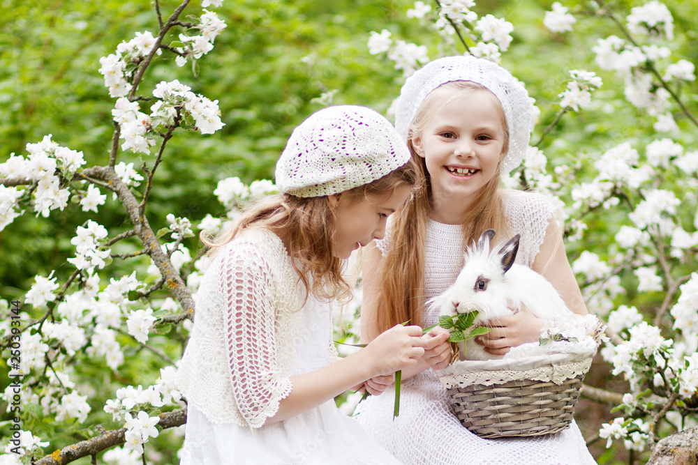 Fototapeta premium Two beautiful young girls playing with white rabbit in the spring blossom garden. Spring fun activity for kids. Easter time