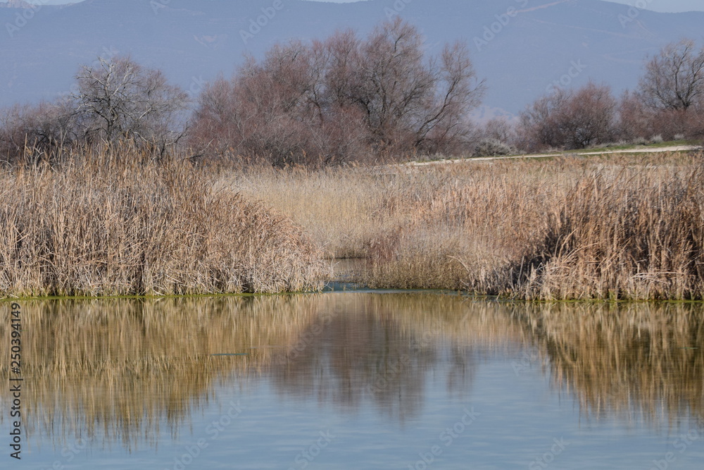 Las Tablas de Daimiel, Ciudad Real, España Las Tablas de Daimiel, Ciudad Real, España